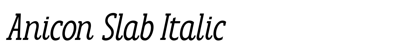 Anicon Slab Italic